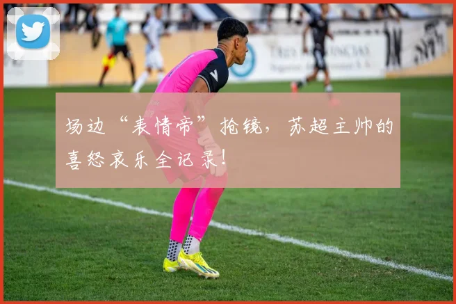 场边“表情帝”抢镜，苏超主帅的喜怒哀乐全记录！