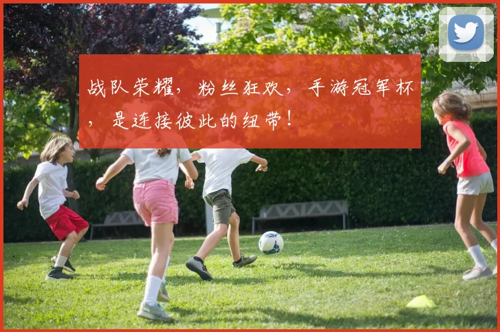 战队荣耀，粉丝狂欢，手游冠军杯，是连接彼此的纽带！