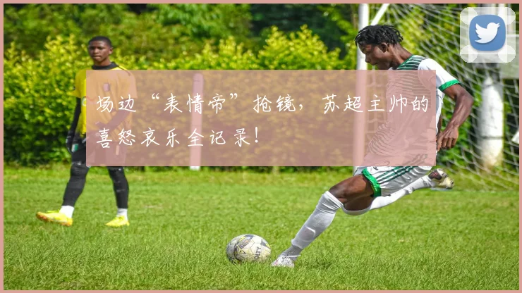 场边“表情帝”抢镜，苏超主帅的喜怒哀乐全记录！