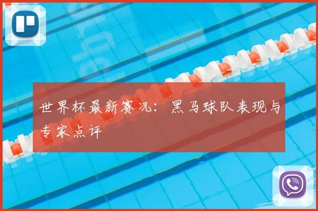 世界杯最新赛况：黑马球队表现与专家点评