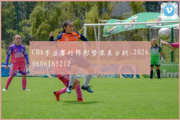 CBA季后赛对阵形势深度分析_20260606165212